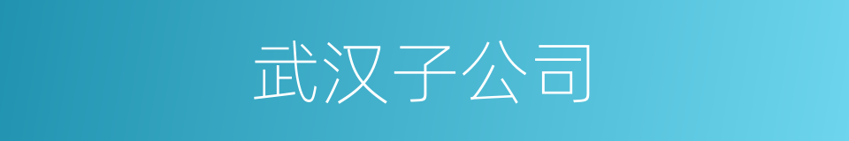武汉子公司的同义词