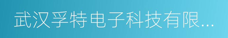 武汉孚特电子科技有限公司的同义词