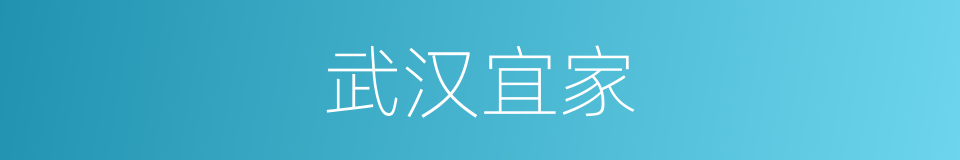 武汉宜家的同义词