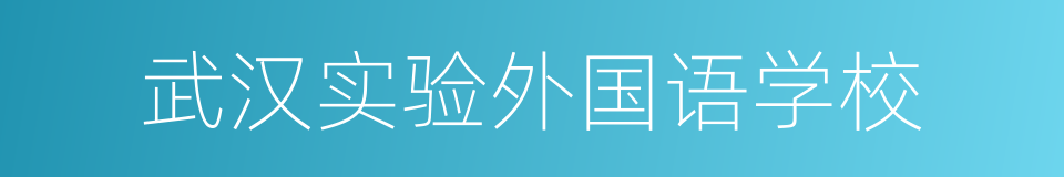 武汉实验外国语学校的同义词