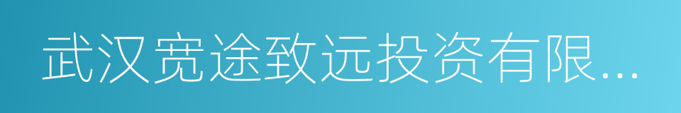 武汉宽途致远投资有限公司的同义词