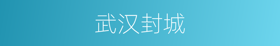武汉封城的同义词