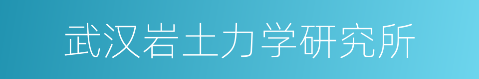 武汉岩土力学研究所的同义词