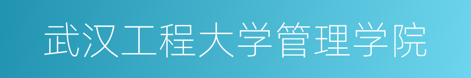 武汉工程大学管理学院的同义词
