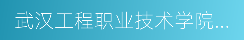 武汉工程职业技术学院厚溥软件学院的同义词