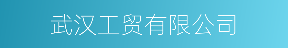 武汉工贸有限公司的同义词