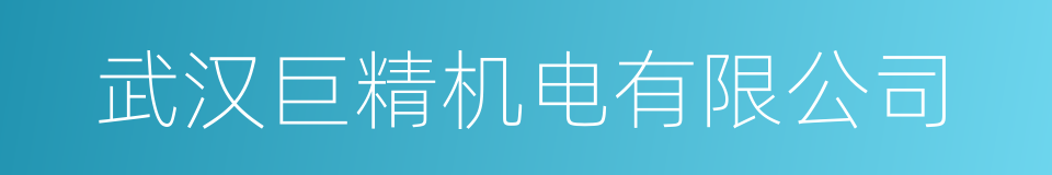 武汉巨精机电有限公司的同义词