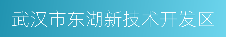 武汉市东湖新技术开发区的同义词