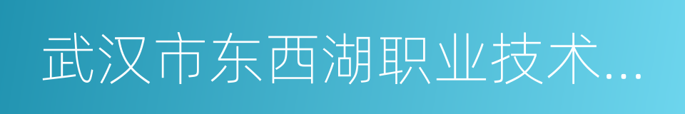 武汉市东西湖职业技术学校的同义词