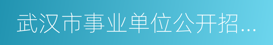 武汉市事业单位公开招聘工作人员报名表的同义词