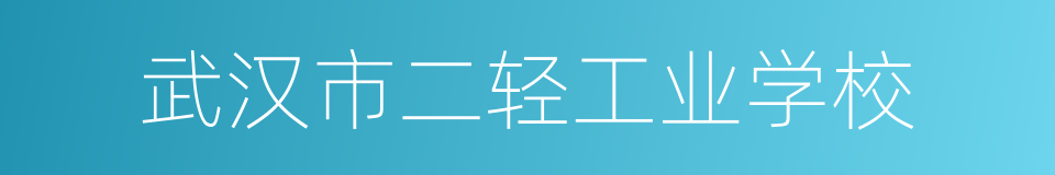 武汉市二轻工业学校的同义词