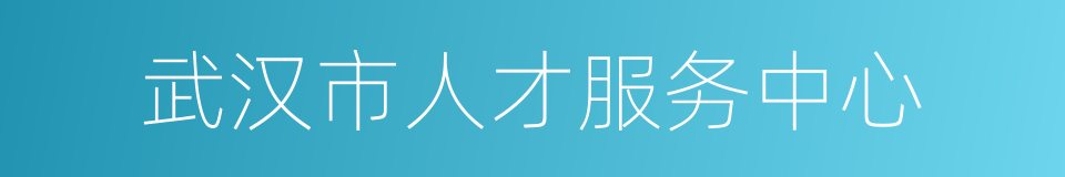 武汉市人才服务中心的同义词