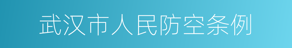 武汉市人民防空条例的同义词