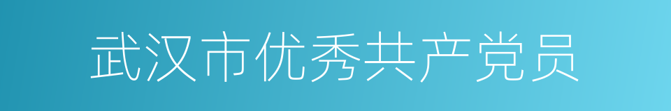 武汉市优秀共产党员的同义词