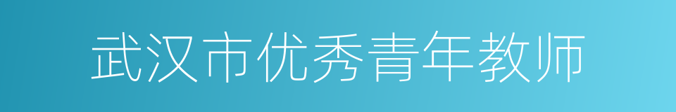 武汉市优秀青年教师的同义词