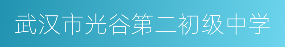 武汉市光谷第二初级中学的同义词