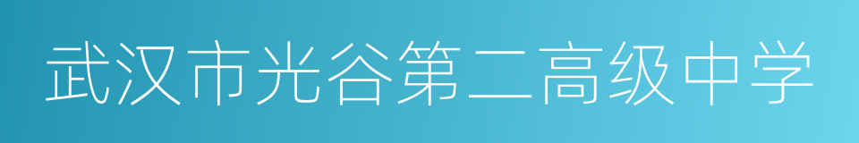 武汉市光谷第二高级中学的同义词