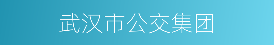 武汉市公交集团的同义词