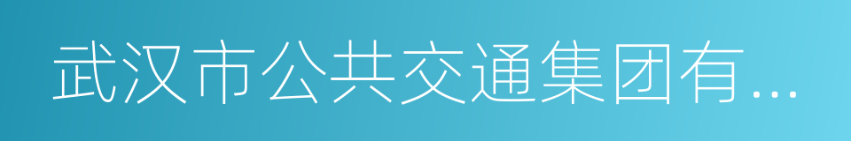 武汉市公共交通集团有限责任公司的同义词