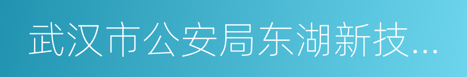 武汉市公安局东湖新技术开发区分局的同义词