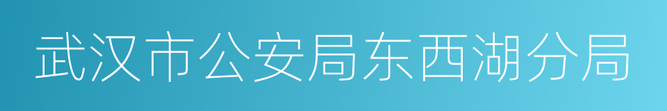 武汉市公安局东西湖分局的同义词