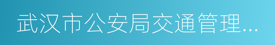 武汉市公安局交通管理局车辆管理所的同义词