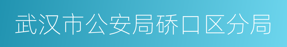 武汉市公安局硚口区分局的同义词