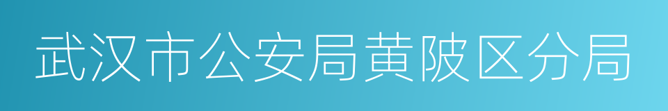 武汉市公安局黄陂区分局的同义词