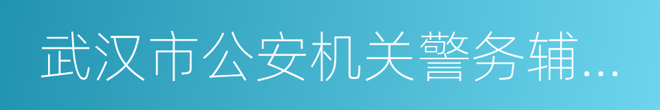 武汉市公安机关警务辅助人员管理暂行办法的同义词