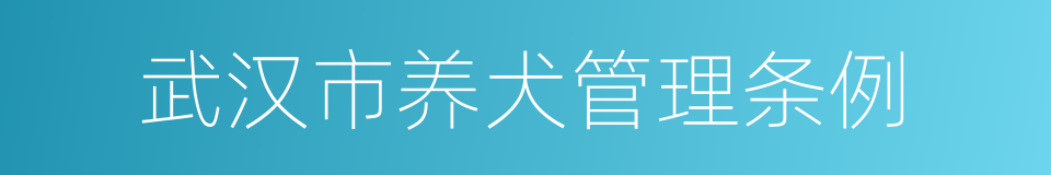 武汉市养犬管理条例的同义词