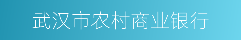 武汉市农村商业银行的同义词