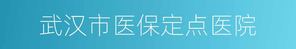 武汉市医保定点医院的同义词