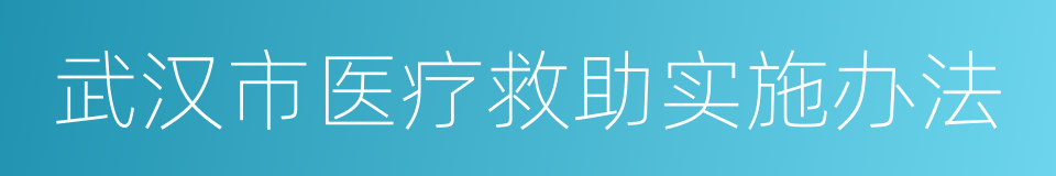 武汉市医疗救助实施办法的同义词