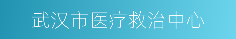 武汉市医疗救治中心的同义词