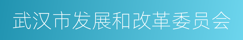 武汉市发展和改革委员会的同义词