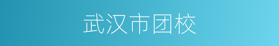 武汉市团校的同义词