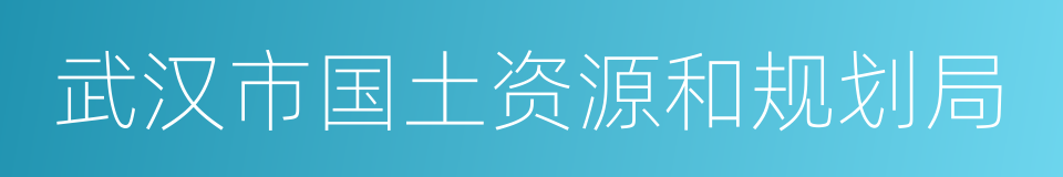 武汉市国土资源和规划局的意思