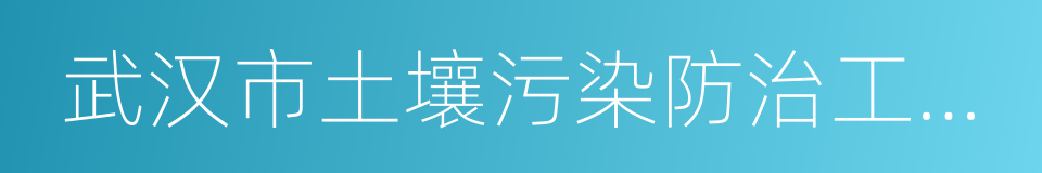 武汉市土壤污染防治工作方案的同义词