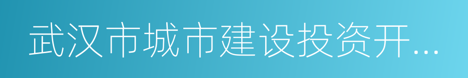 武汉市城市建设投资开发集团有限公司的同义词