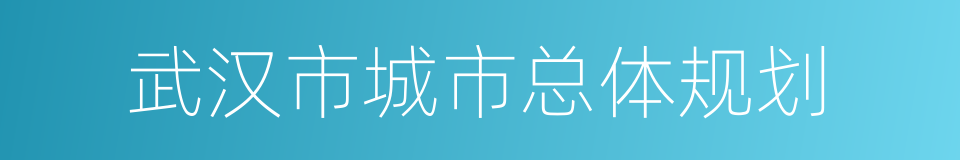 武汉市城市总体规划的同义词