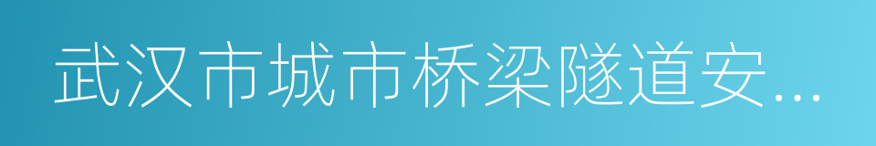 武汉市城市桥梁隧道安全管理条例的同义词