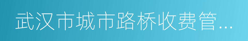 武汉市城市路桥收费管理中心的同义词