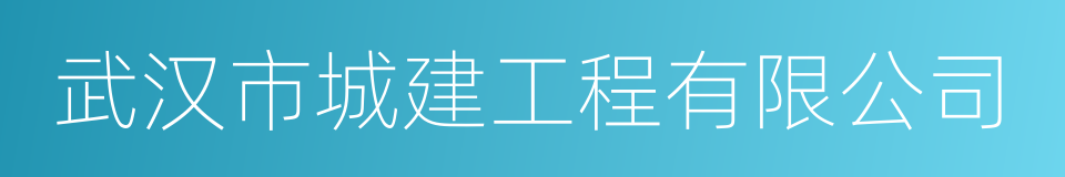 武汉市城建工程有限公司的同义词