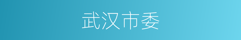 武汉市委的同义词