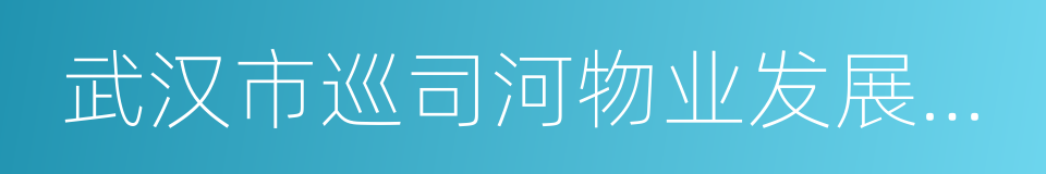 武汉市巡司河物业发展有限公司的同义词