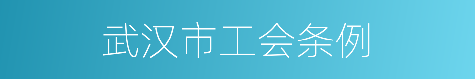 武汉市工会条例的同义词