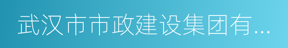 武汉市市政建设集团有限公司的同义词