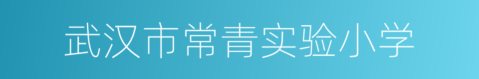 武汉市常青实验小学的同义词