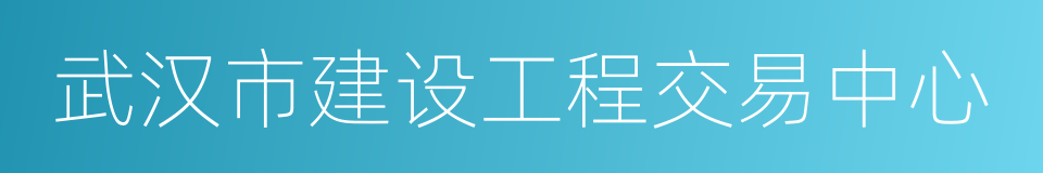 武汉市建设工程交易中心的同义词