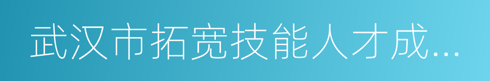 武汉市拓宽技能人才成长通道实施办法的同义词